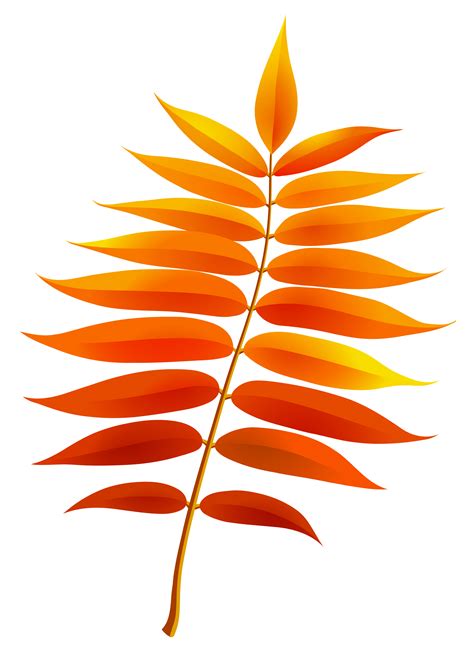 leaves png|leaves clipart.